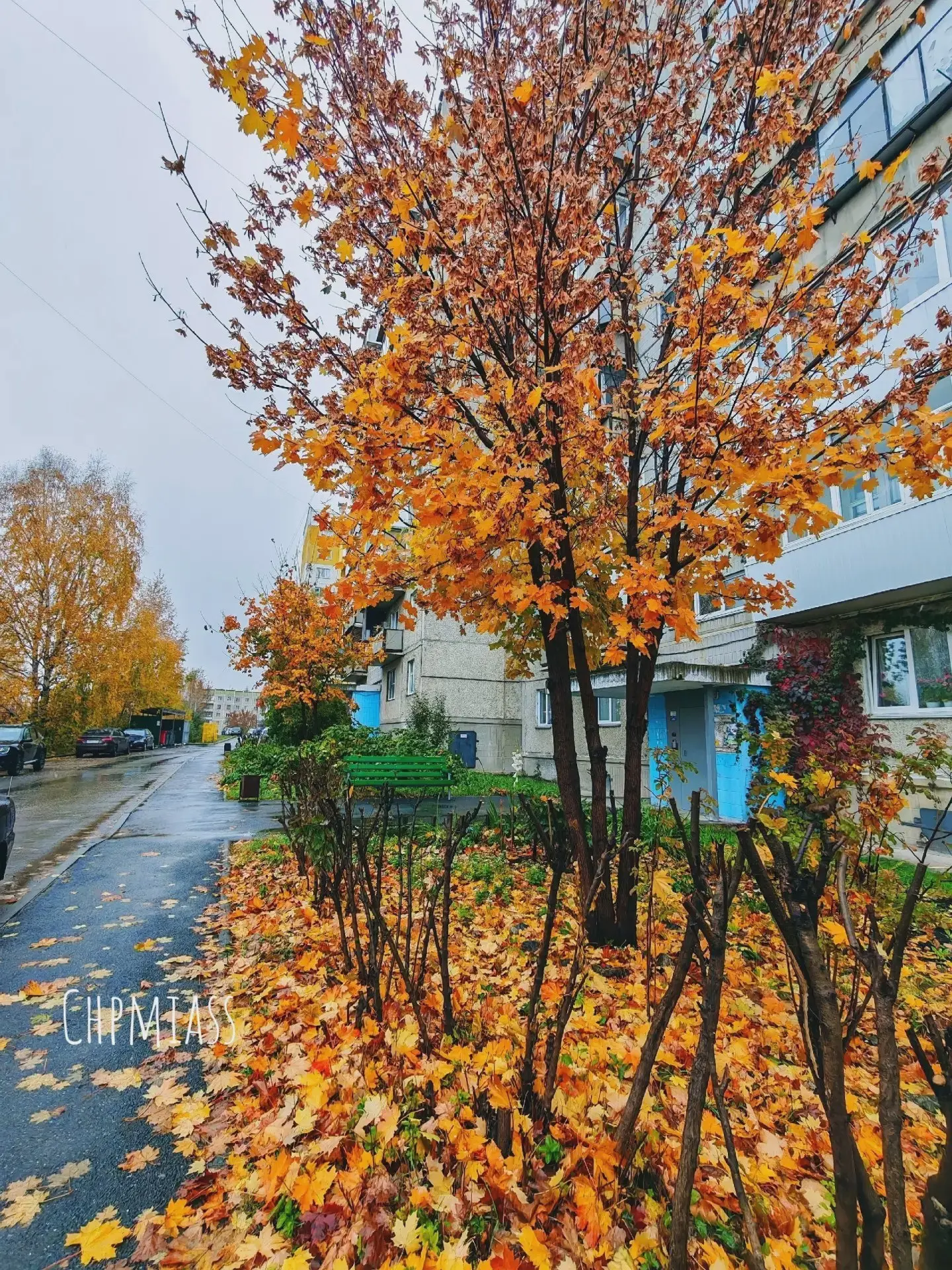 🍂 Осенние краски в ленту