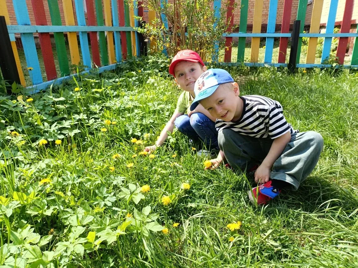 🌼 А вы знали, что одуванчик предсказывает погоду?