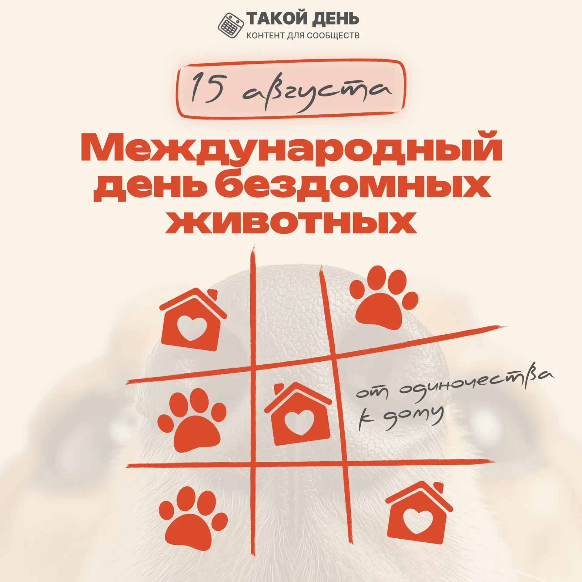 🎉 Международный день бездомных животных — повод поговорить о доброте и ответственности...