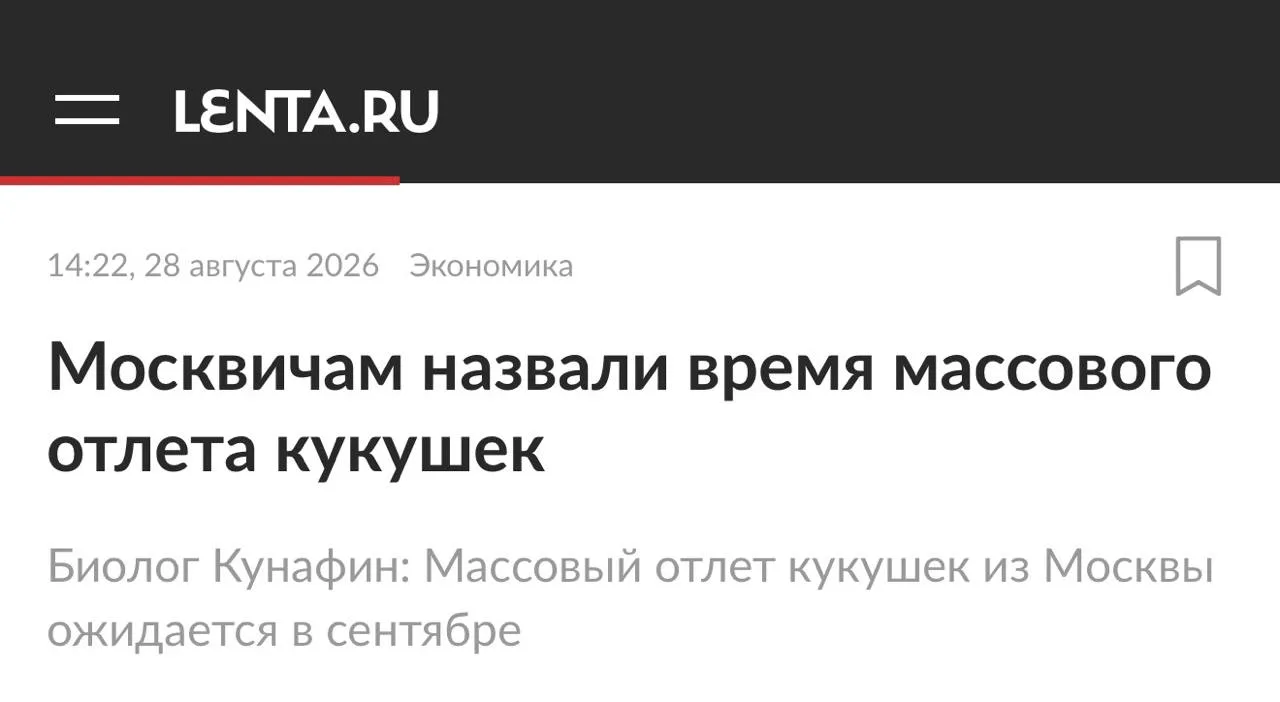 Доброе йогическое ☀️