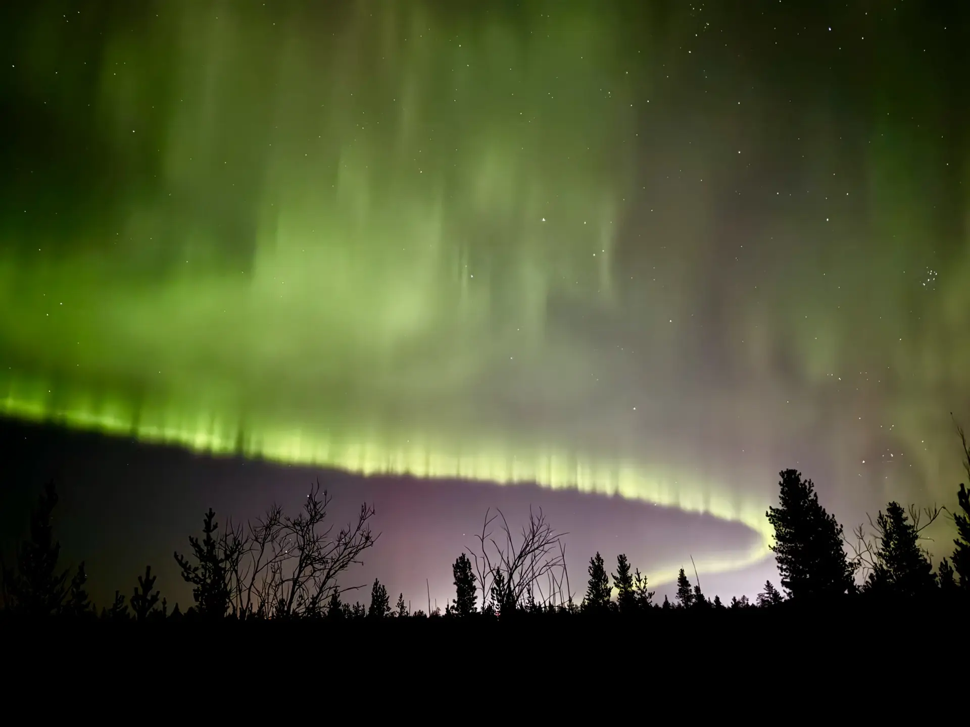 Северное сияние, окутавшее Губкинский💚