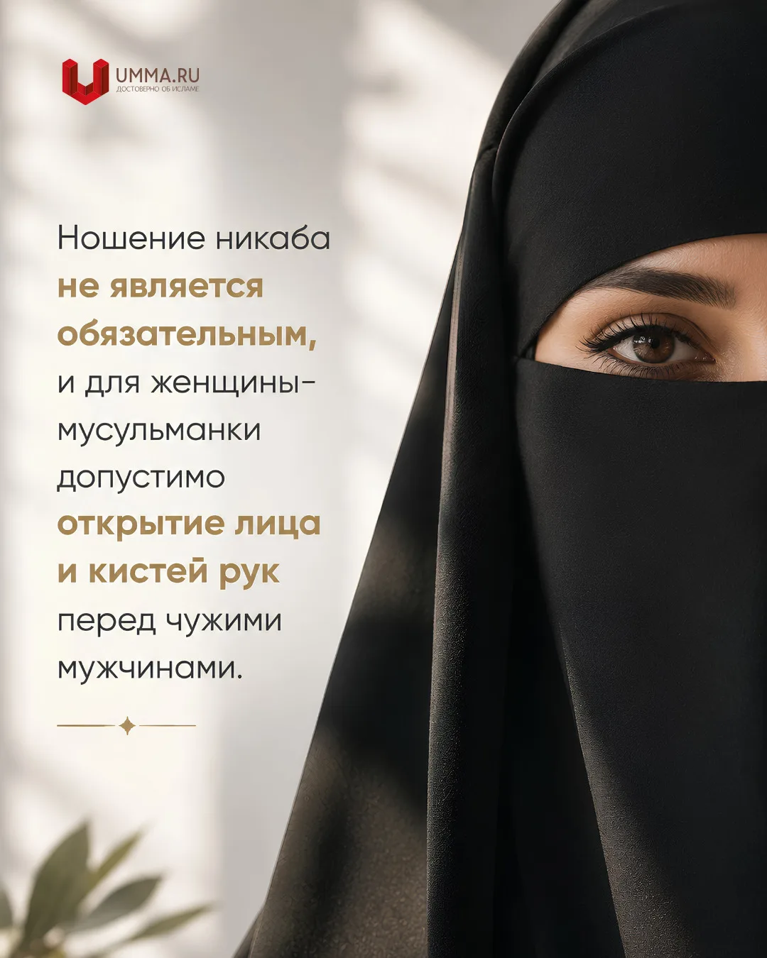 Это общеизвестно в мусульманском богословии и таково заключение подавляющего большинств...