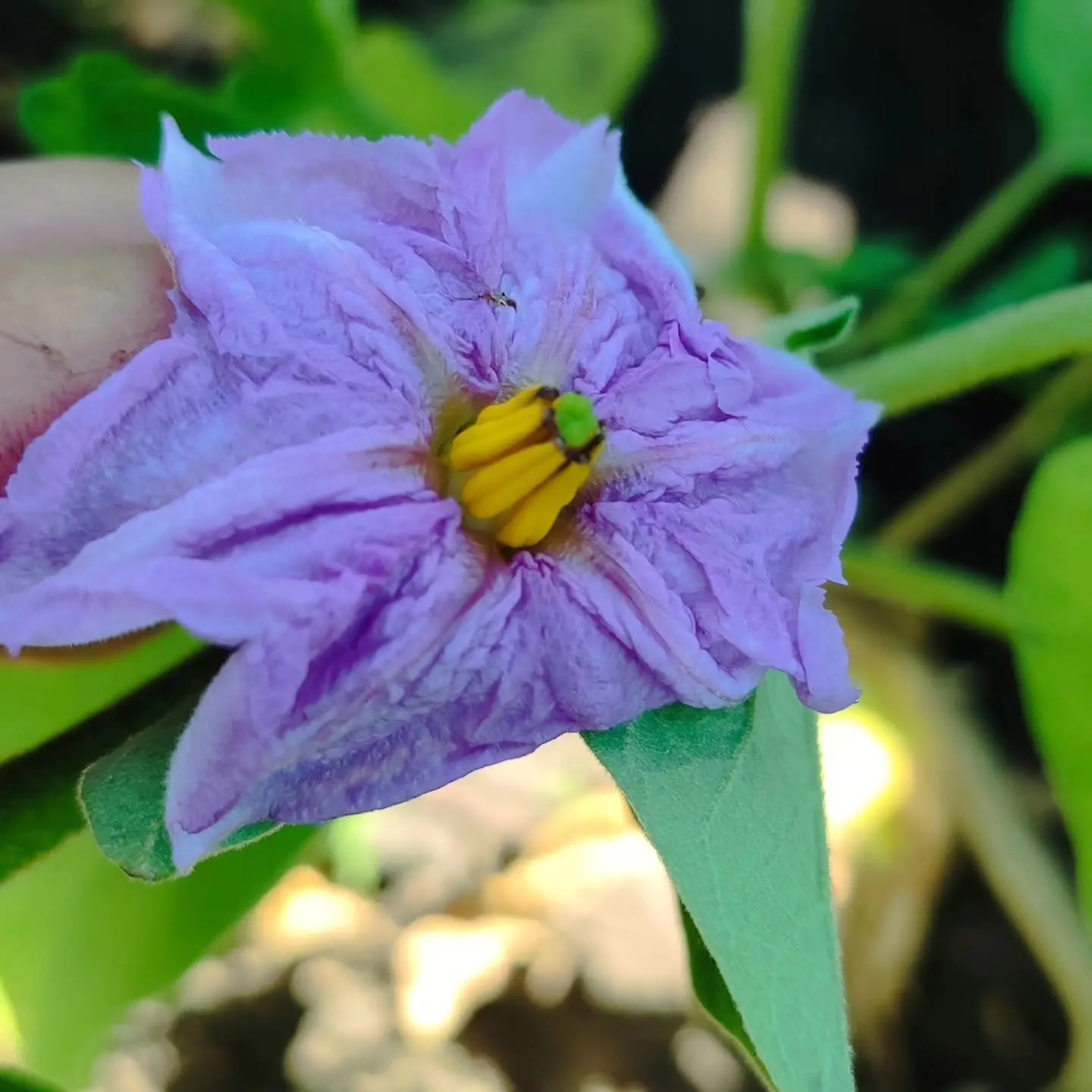 🌿 ДАЧНЫЕ ЗАРИСОВКИ: МИР ЗА ПРЕДЕЛАМИ ШКОЛЬНОЙ ДОСКИ  

Мы продолжаем делиться кадрами, которые наши