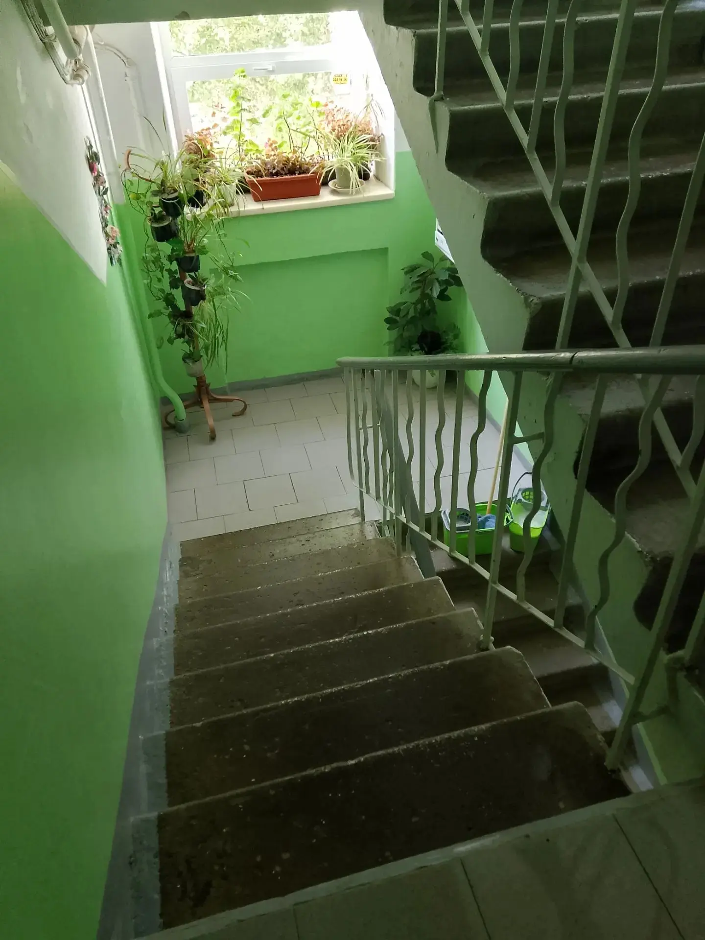 🏠 Влажная уборка мест общего пользования.