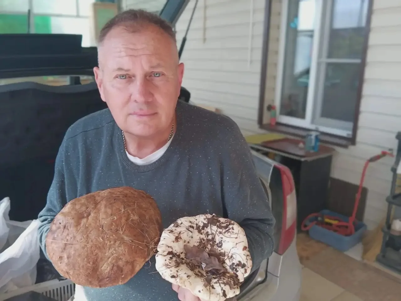🍄 Грибной сезон открыт: куда волжанам отправиться на «тихую охоту»?
