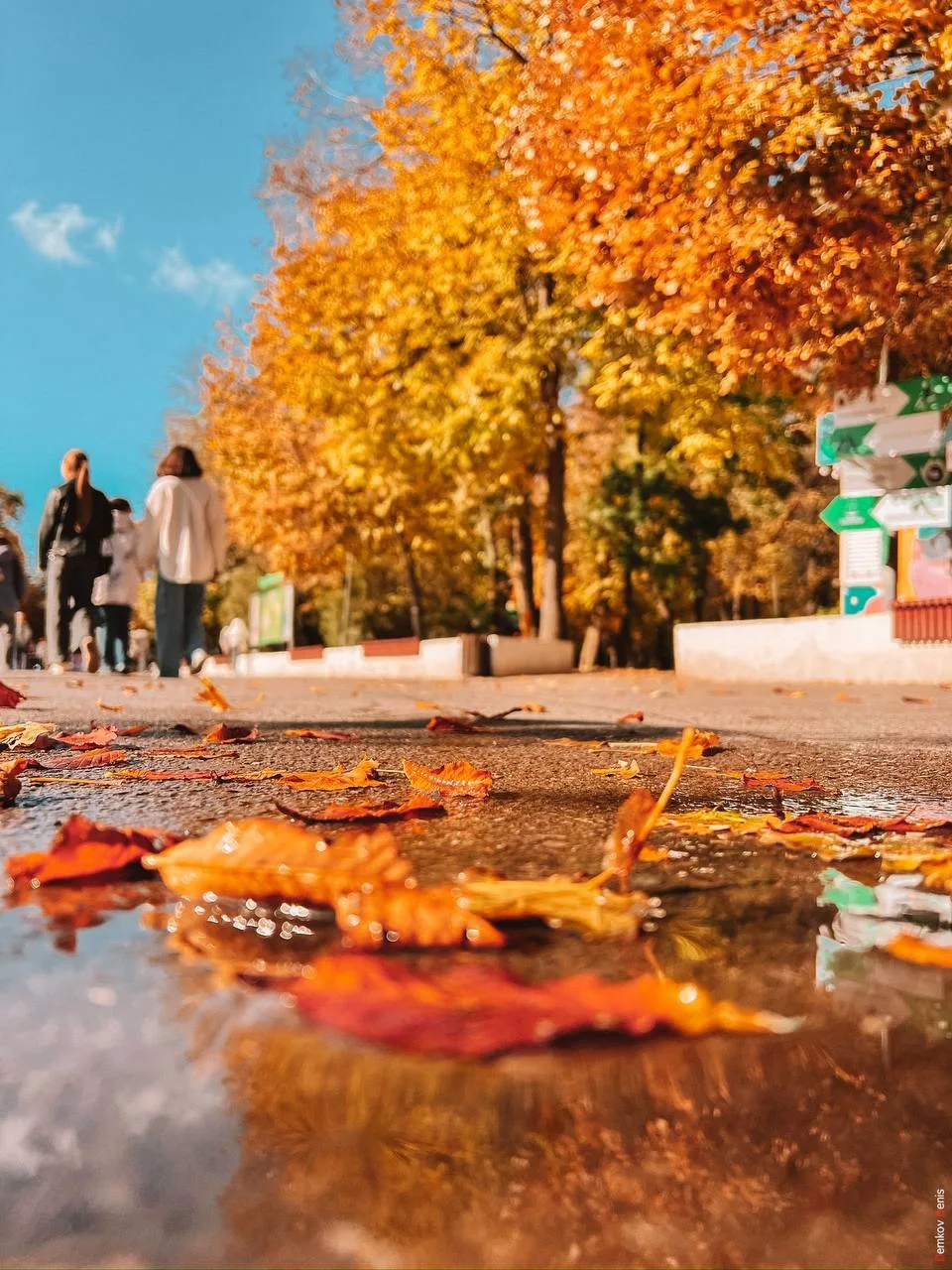 🍂☀️На улице чудесная погода!
