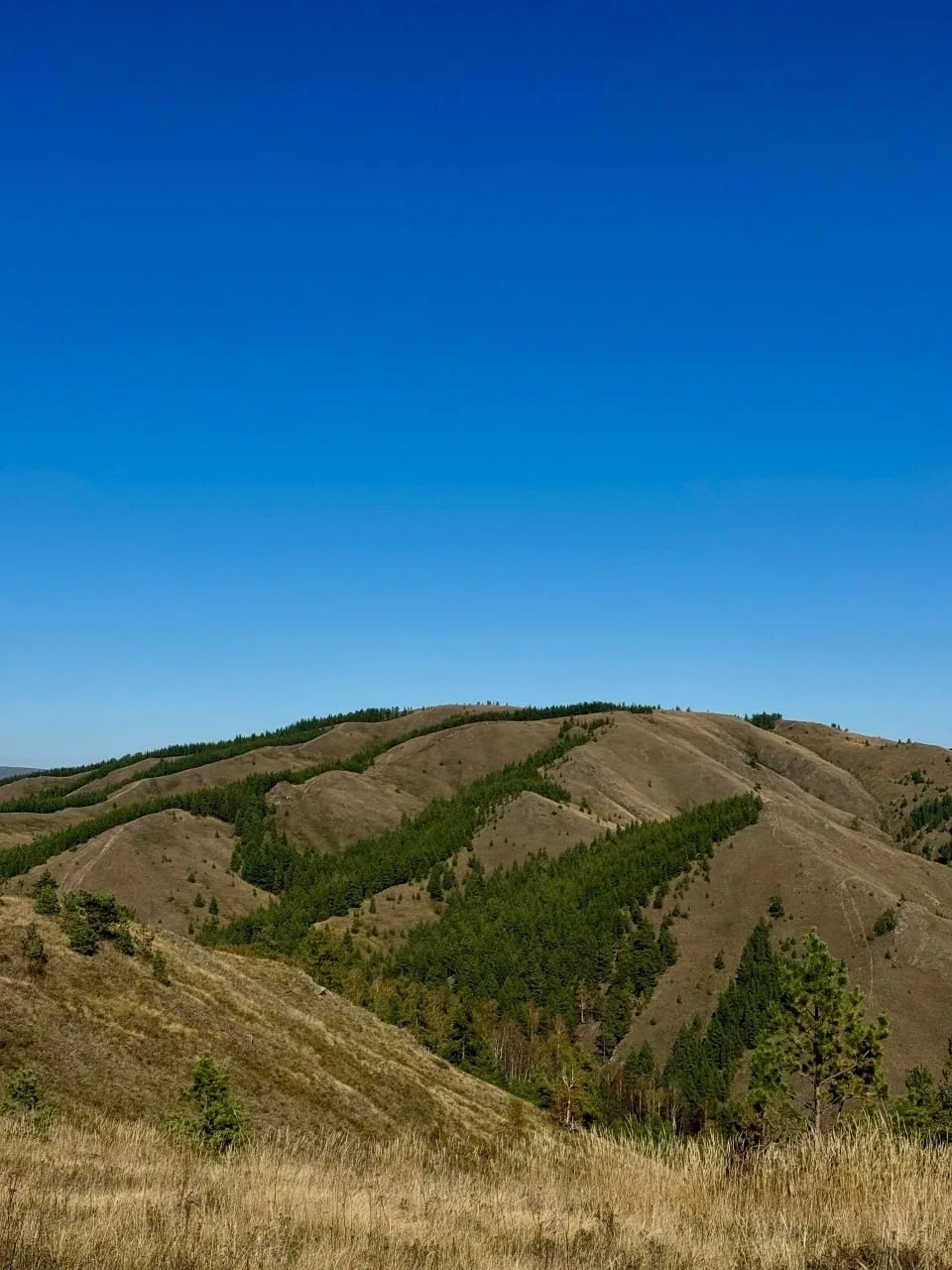 Доброе утро
