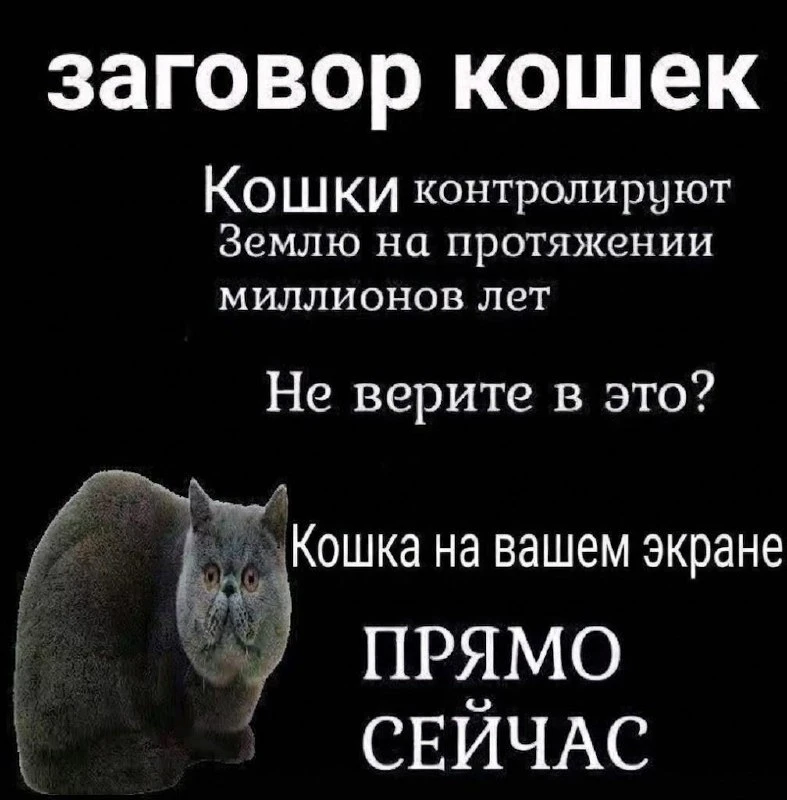 так... так... так... ⏳