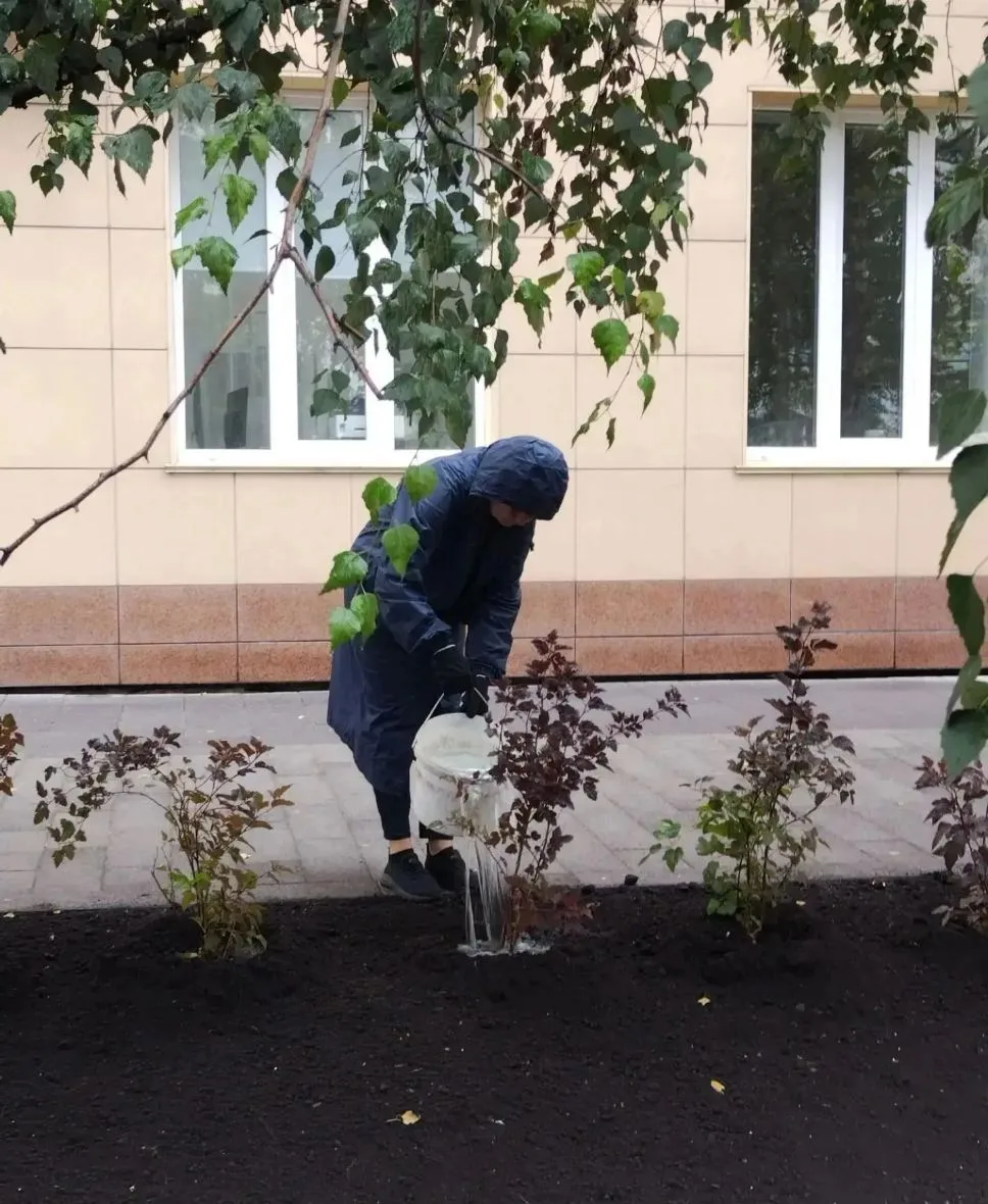 Улица Сурикова становится зеленее 🌳