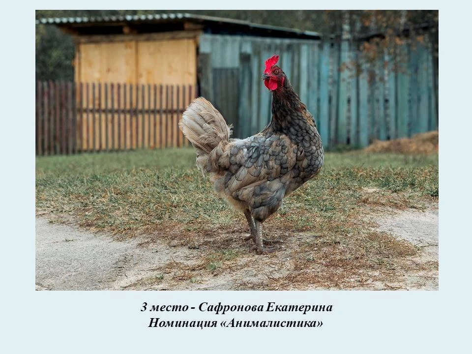 ✨Поздравляем призера всероссийского конкурса!