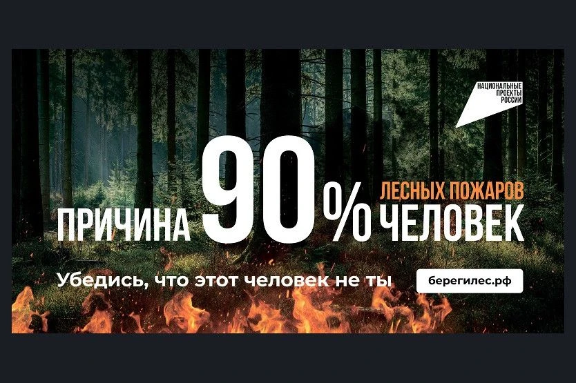 Сохранять леса и защищать их от пожаров помогает национальный проект «Экологическое бла...