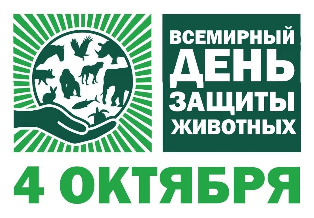 📆  4 октября 2026 года