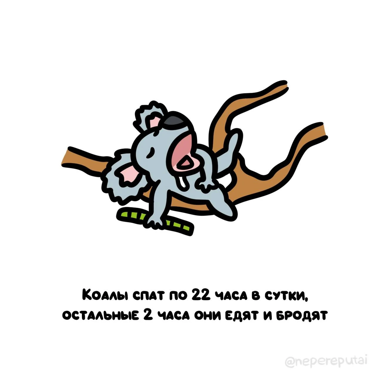 Каждый мечтает о таком образе жизни, тем более по понедельникам…