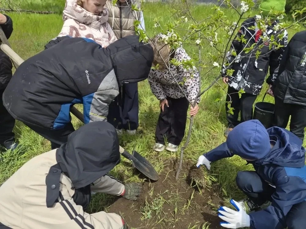 📌 В ГБОУ ЛНР «МШ №19» в рамках месячника «Экологическое воспитание» обучающиеся 3 класса приняли уч