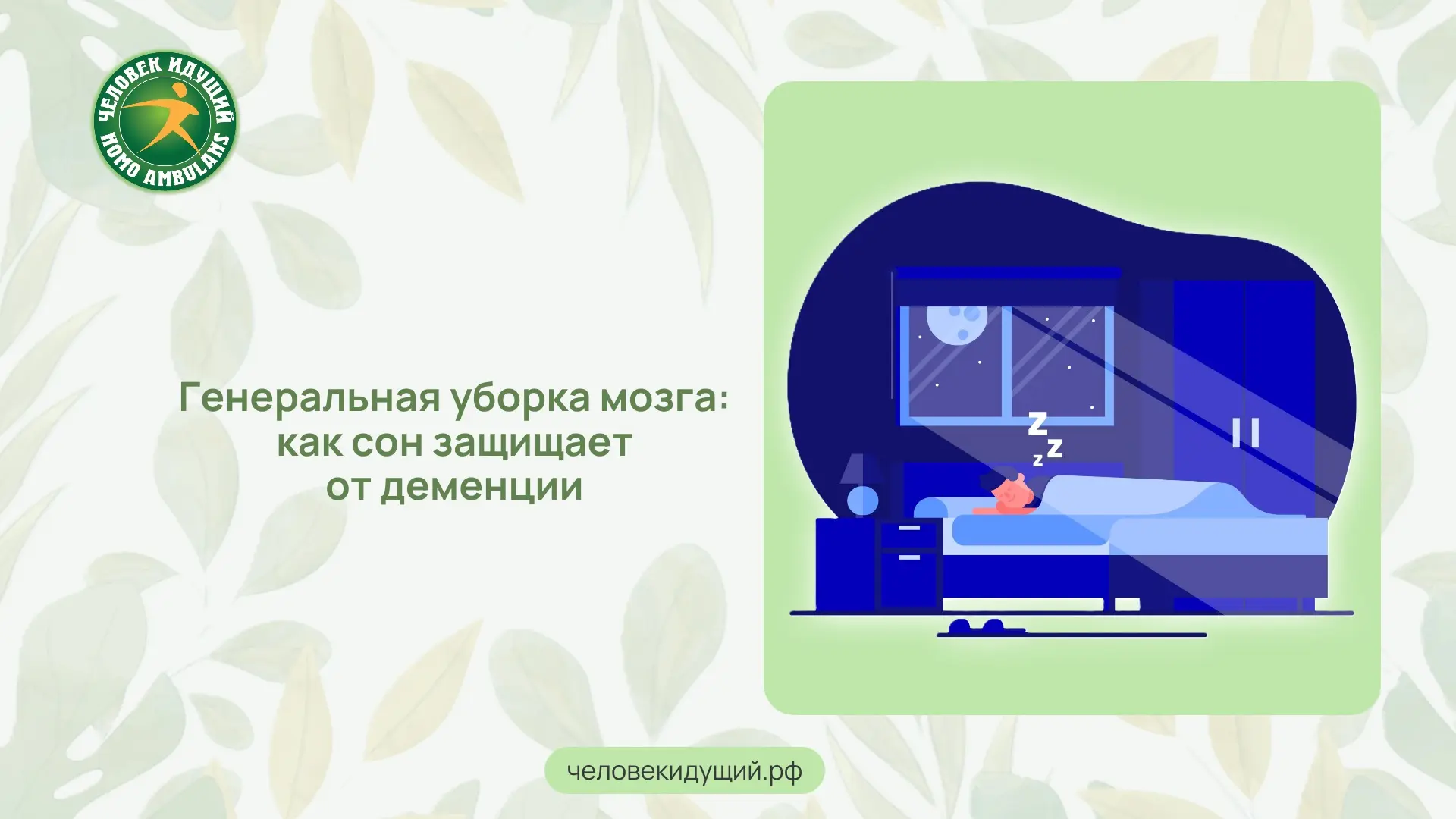 Во время сна в мозге запускается «генеральная уборка». Пять важных веществ, которые днём работают по