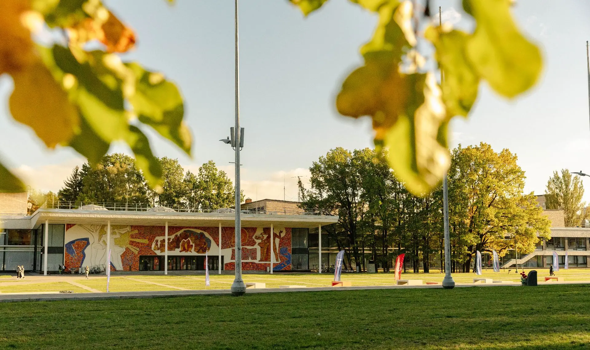🍂 Осенние каникулы в Московском дворце пионеров — пять программ, чтобы не сидеть дома!