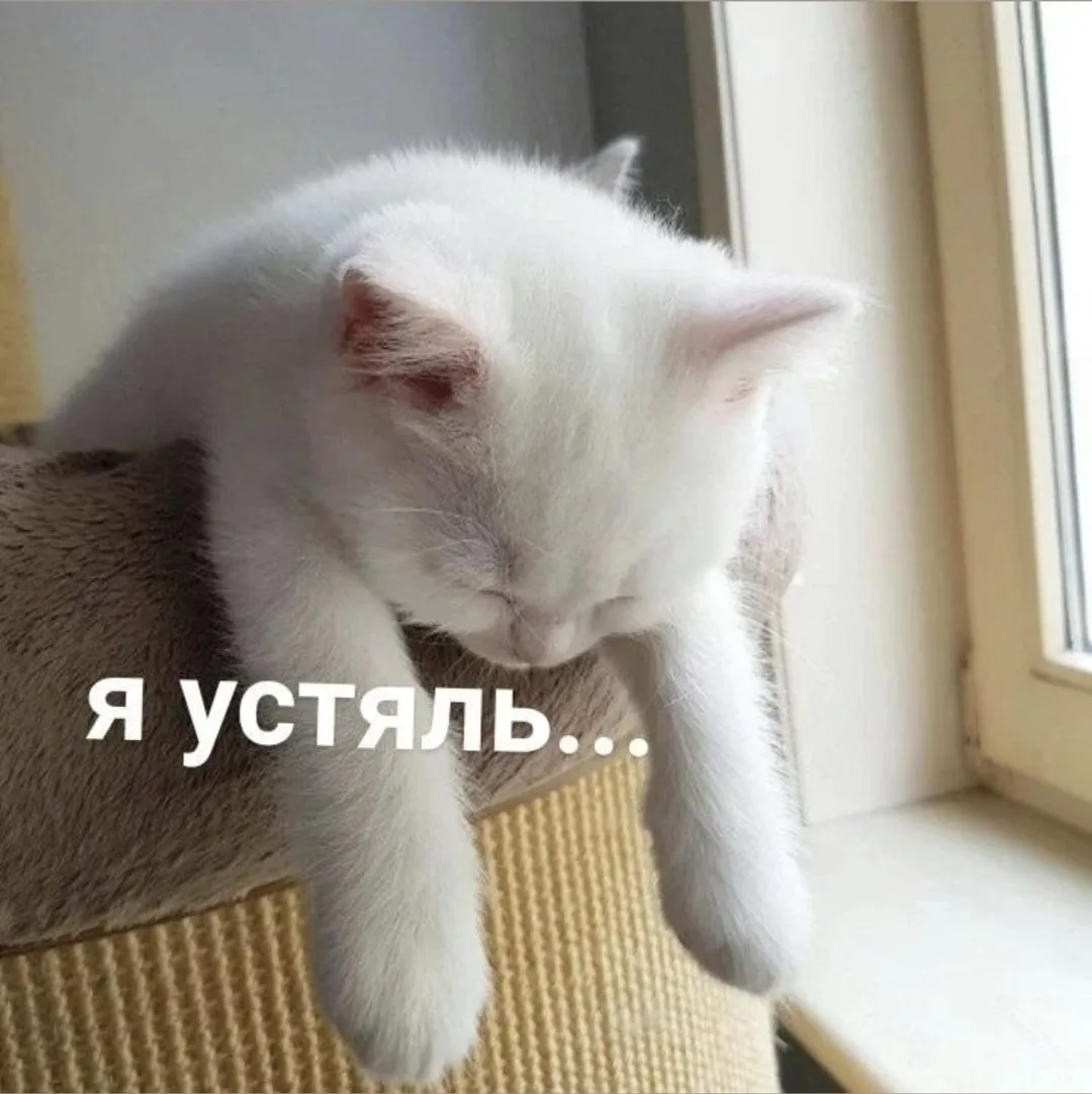 А это только среда))
