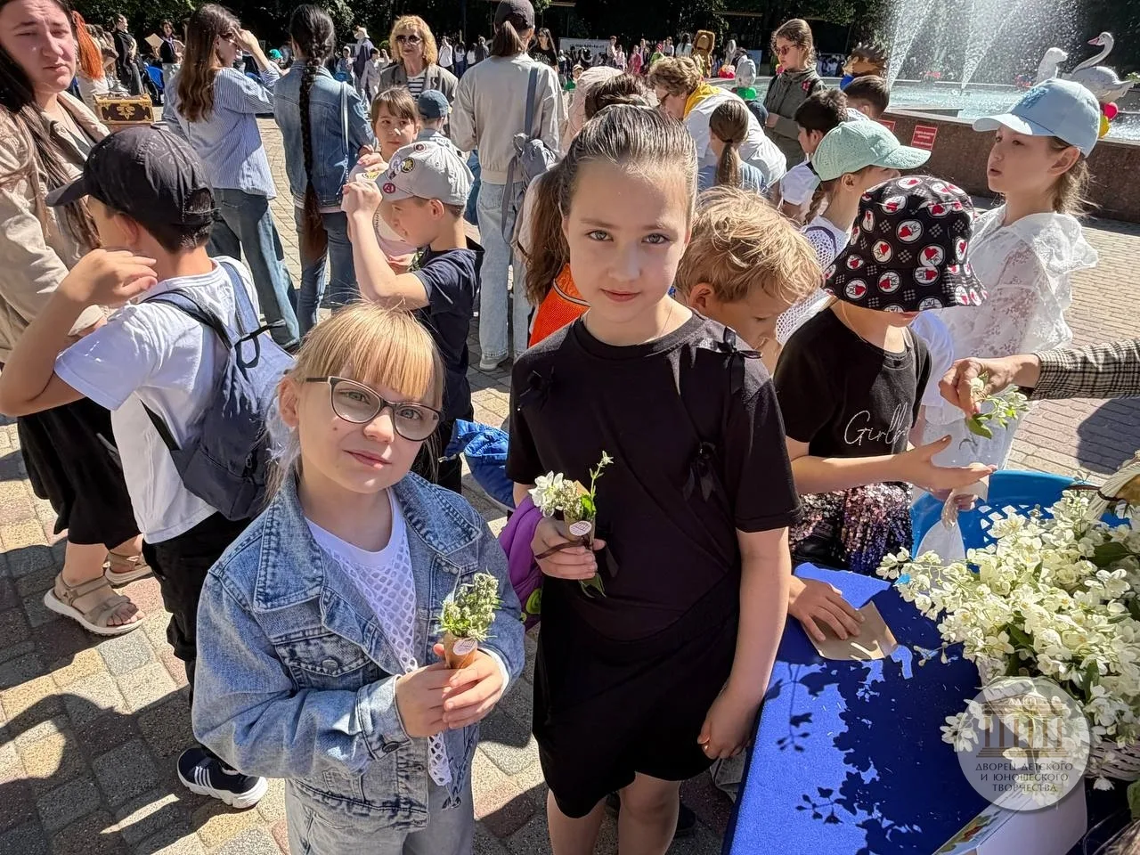 Лето в Армавире началось с грандиозного праздника! ☀🎉