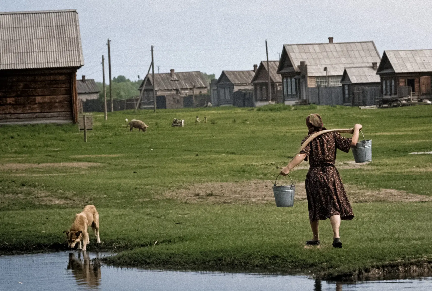 Станица Замьяновская. Астраханская область, 1958 год.