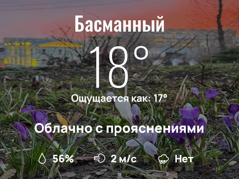 Что с погодой в Басманном?