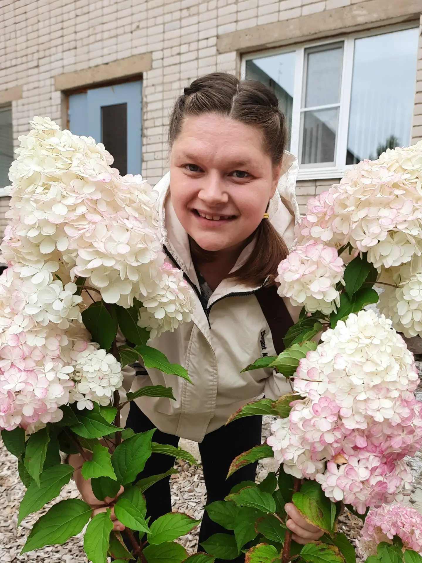 Не смотря на осеннюю погоду, огромные гортензии радуют глаз своим размером и окрасом. Н...