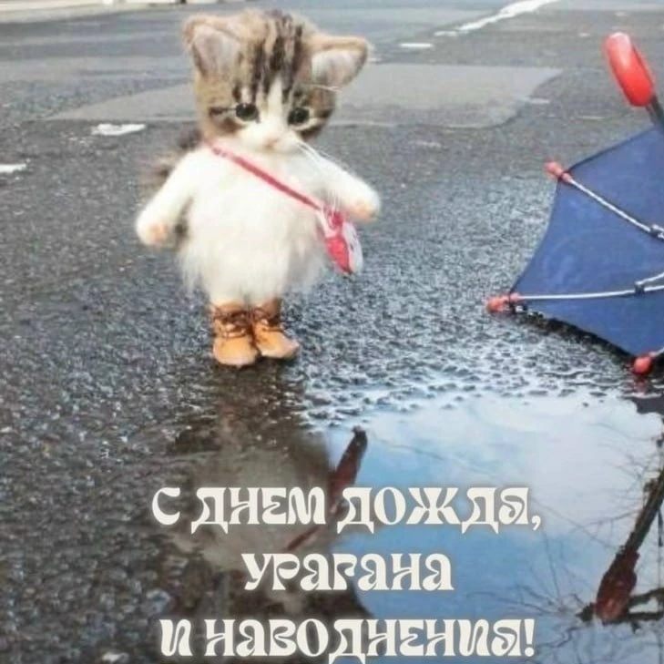 ❗️В Челябинской области за три дня выпадет почти месячная норма осадков