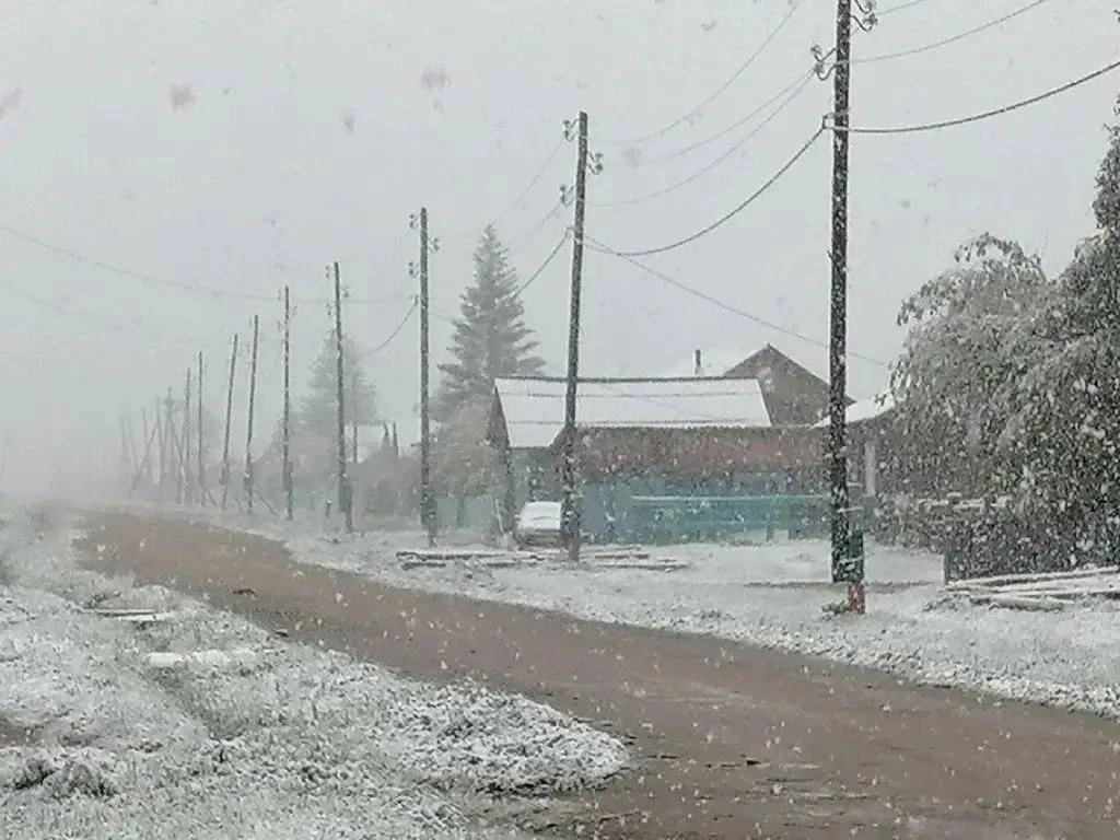 Сюрпризы природы!