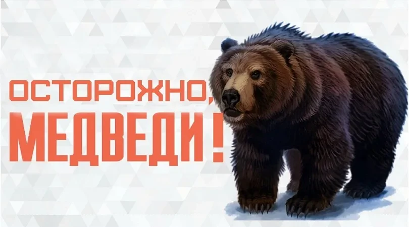 🐻 Внимание! В районе кладбища замечены медведи