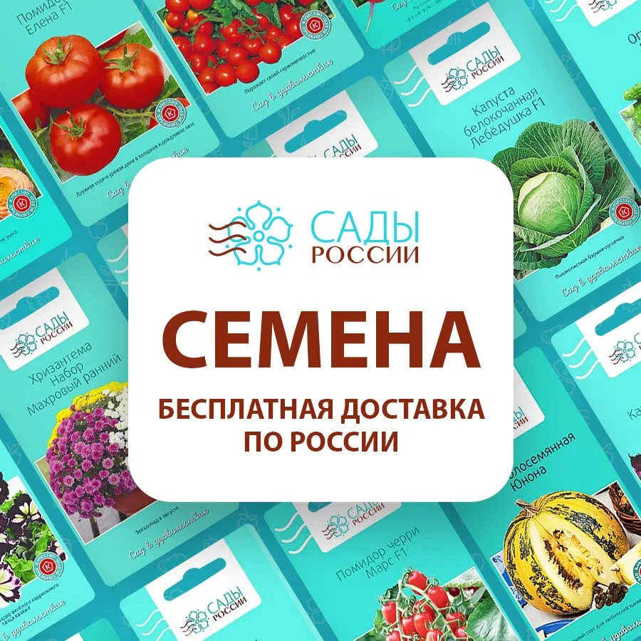 Меня опять потянуло на приключения. Прошлой осенью в интернет-магазине по хорошей скидк...