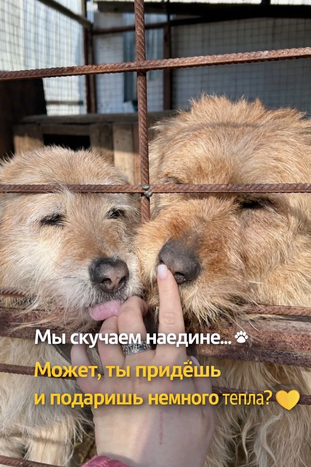 Всем Здравствуйте 👋