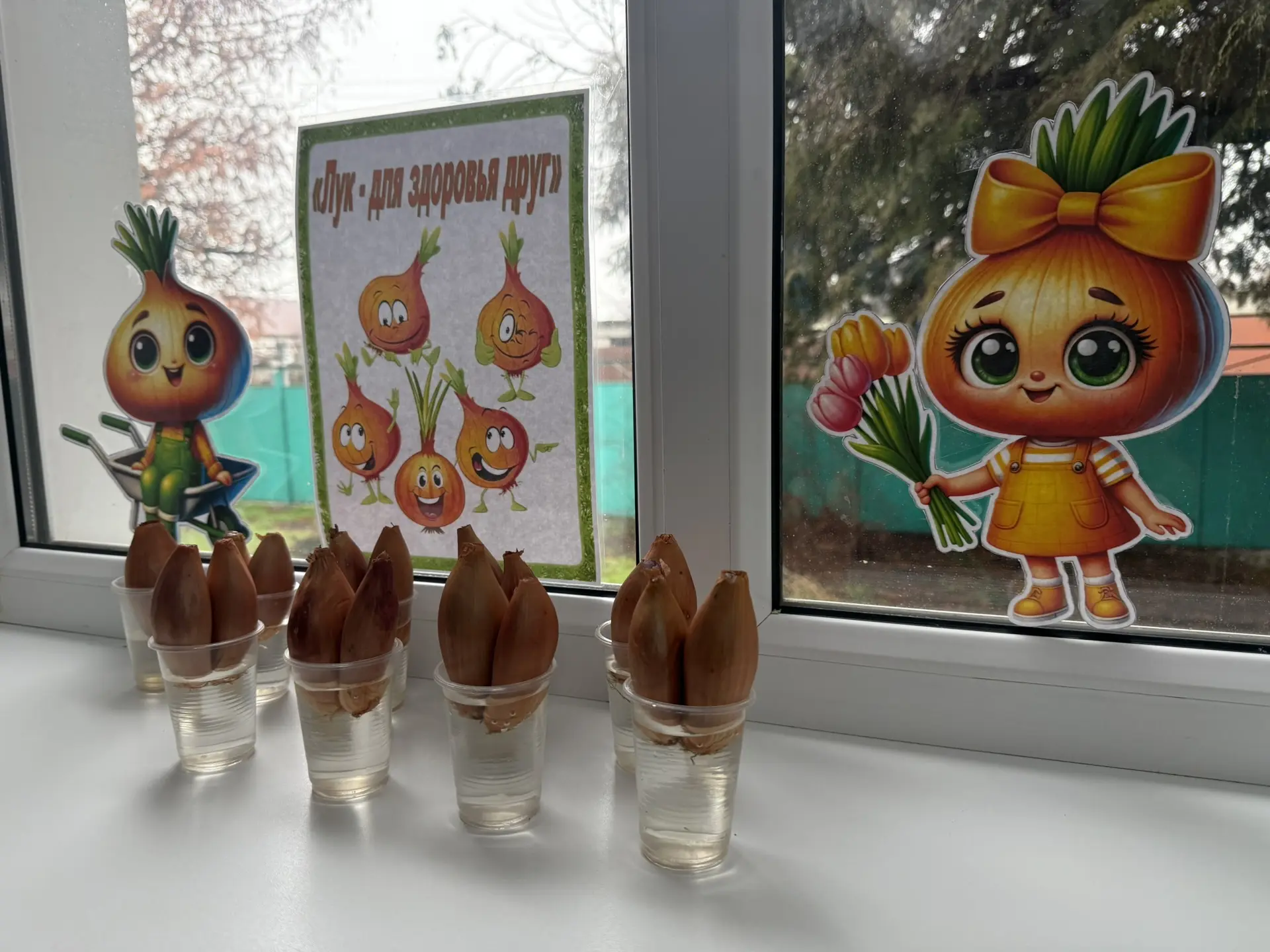 Юные огородники: как мы лук в воду сажали!