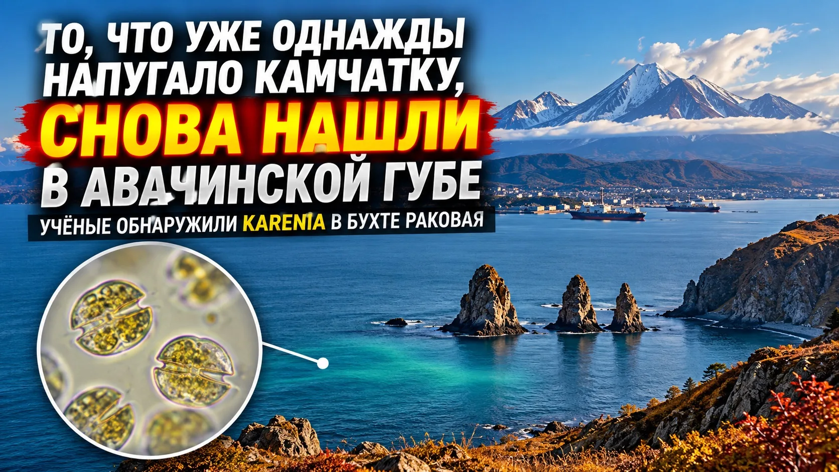 🌊 ТО, ЧТО УЖЕ ОДНАЖДЫ НАПУГАЛО КАМЧАТКУ, СНОВА НАШЛИ В АВАЧИНСКОЙ ГУБЕ