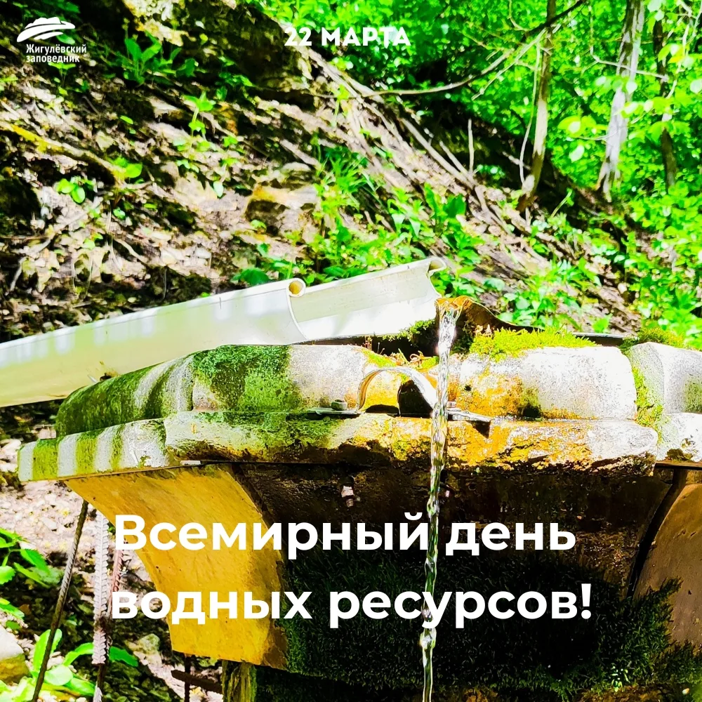 🌊 22 марта — Всемирный день водных ресурсов!
