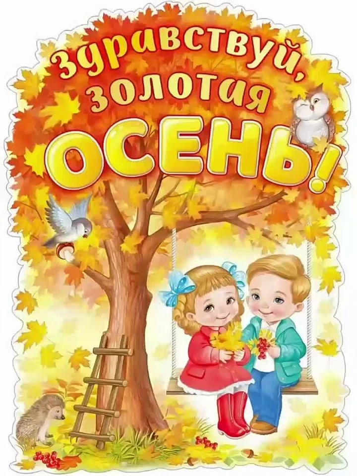 Видео: https://vk.ru/clip-194246305_456240491