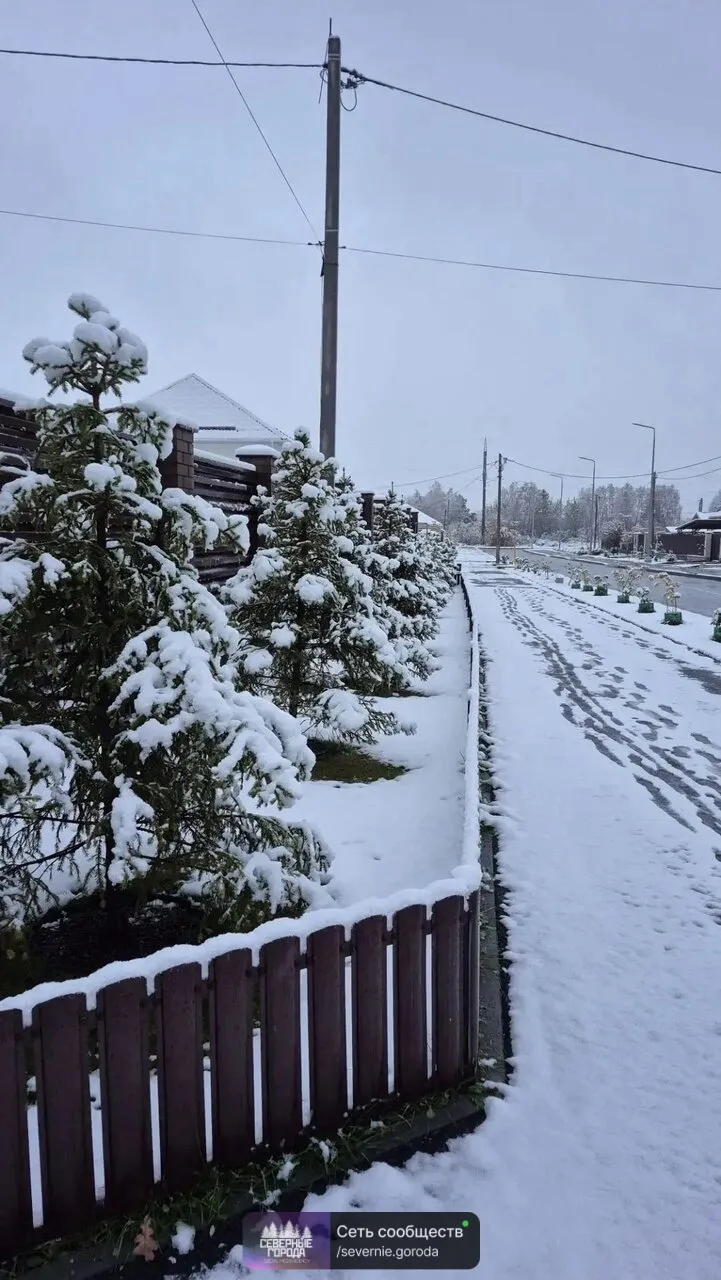 ❄ Снег выпал — поздравляем! Показывайте в комментариях фото зимних пейзажей 👇🏻