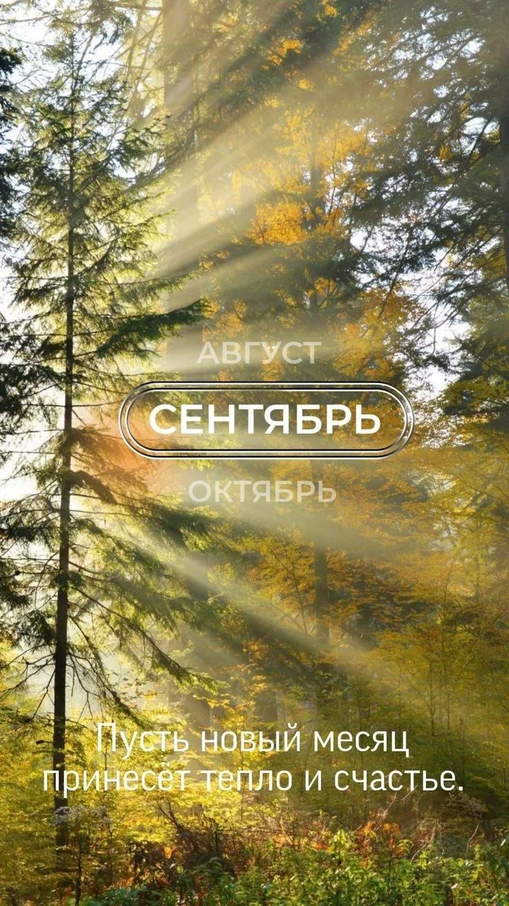 Доброго осеннего утра🍂