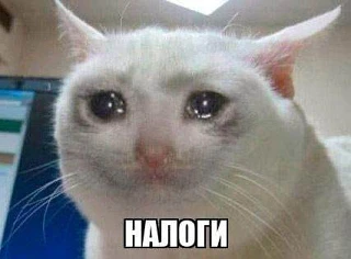 💸 В России могут вырасти некоторые налоги

Федеральная налоговая служба направила регионам рекоменд