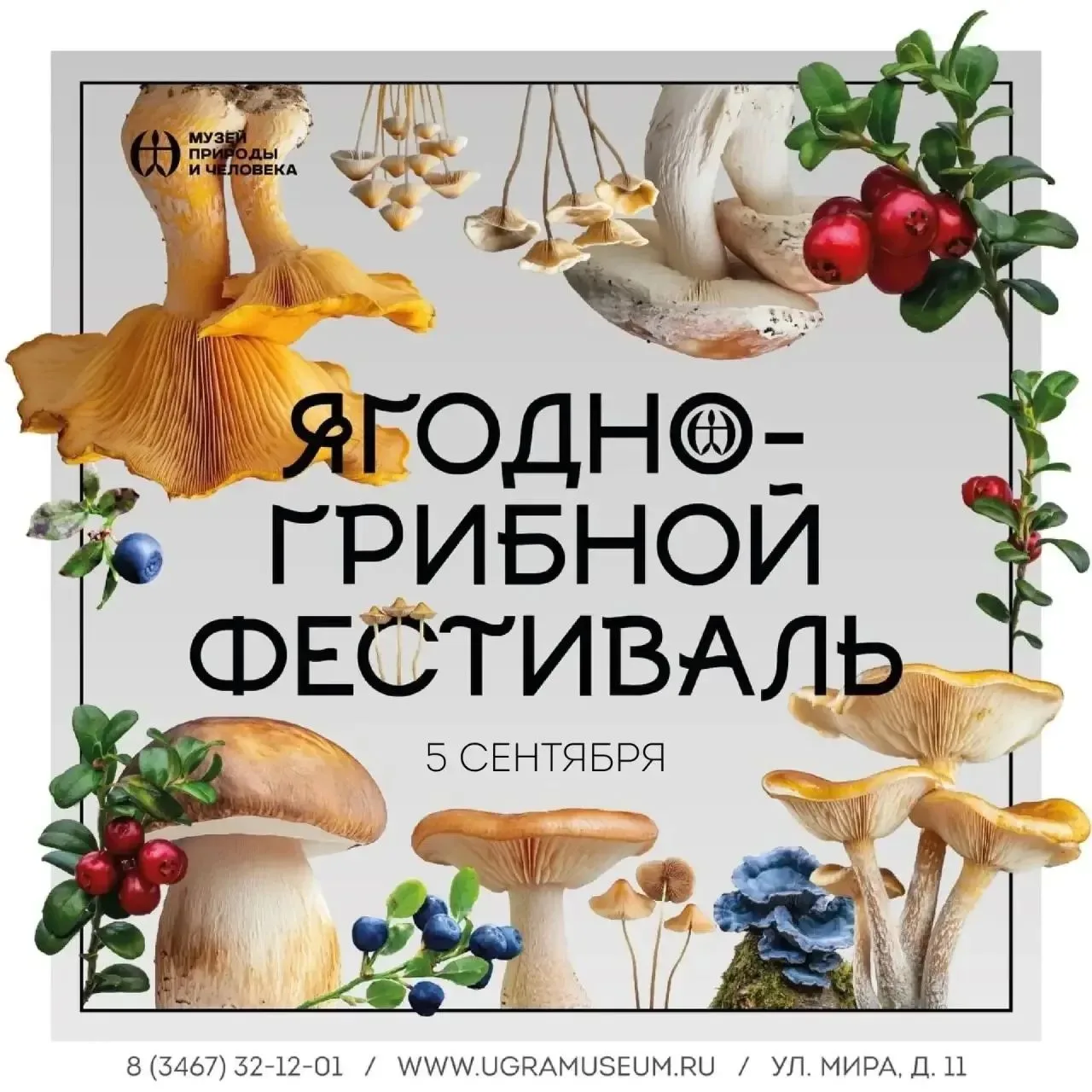 🍄 Ягодный микс и грибной драйв: возвращается главный лесной фестиваль Югры!