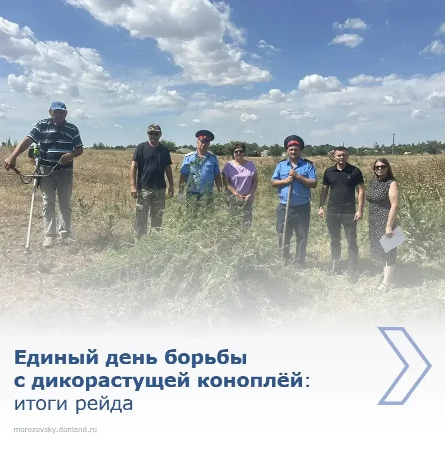 Сегодня в рамках «Единого дня борьбы с дикорастущей коноплёй» казаки совместно с сотрудниками админи