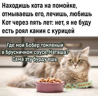 Вот кто главный гурман в доме😂

👉 Ёжка - Подписаться