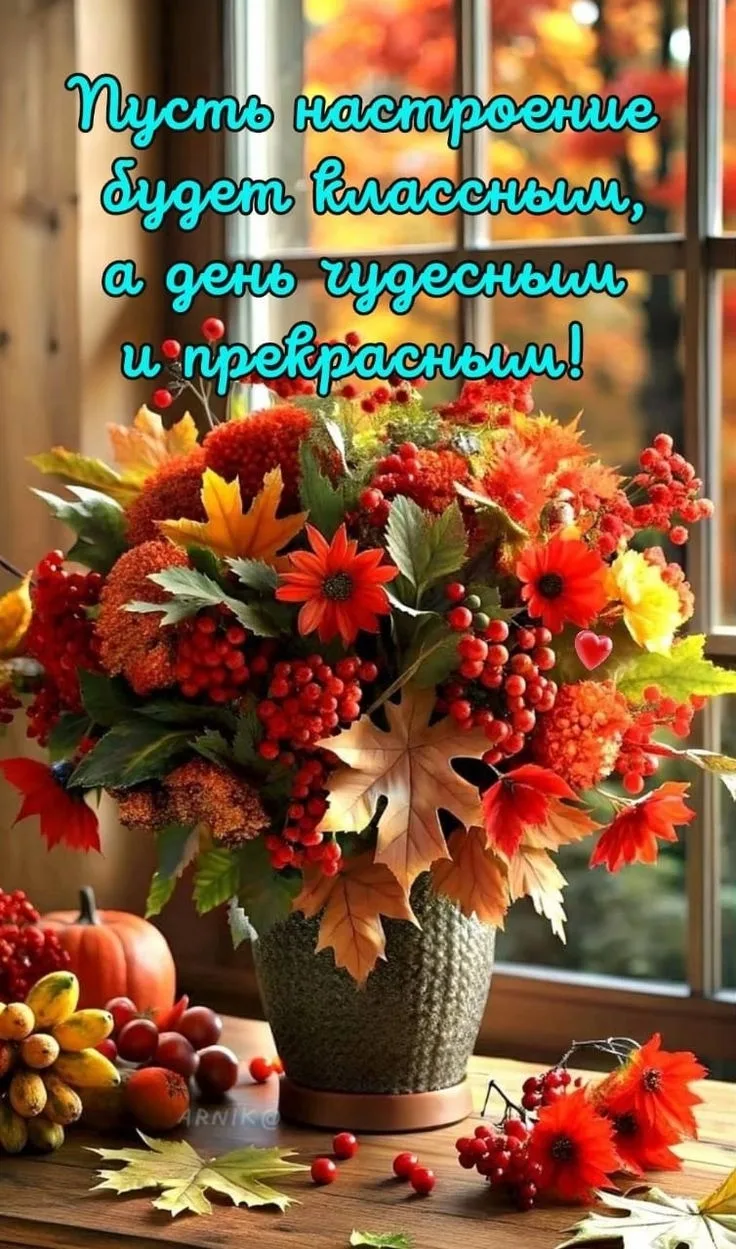https://max.ru/channel_videopozitiv