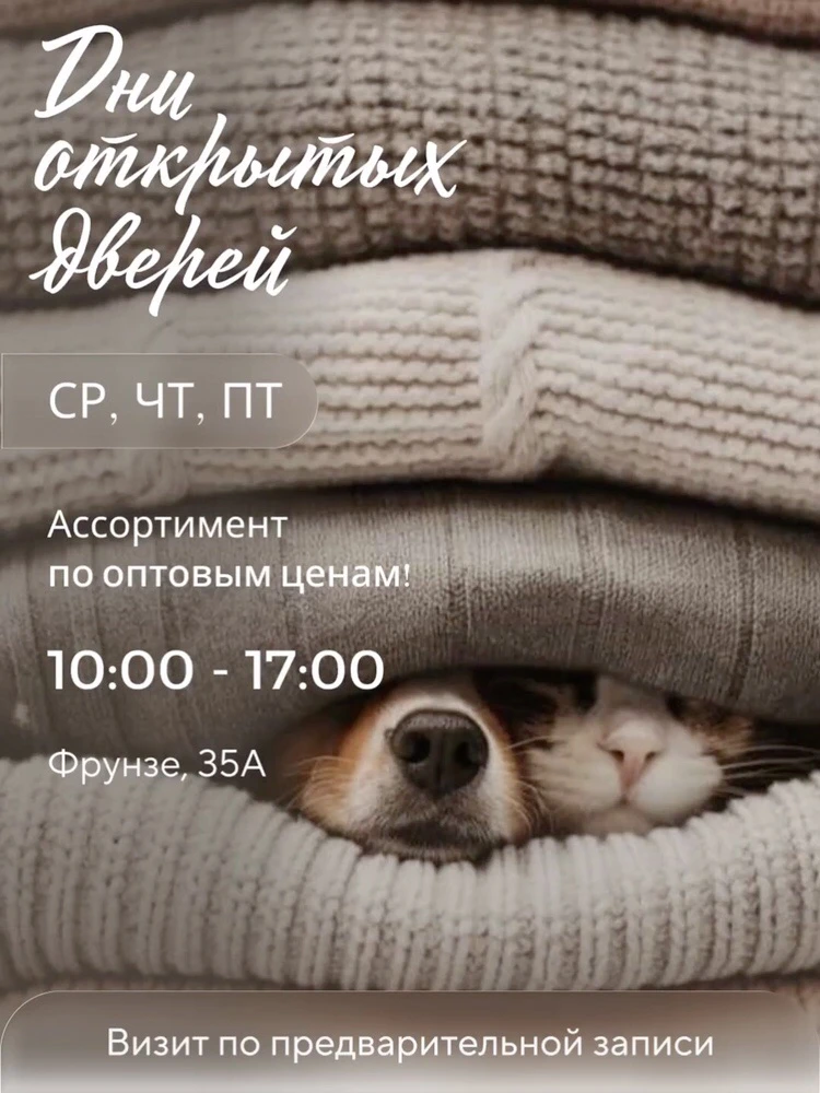 Друзья, приглашаем вас на