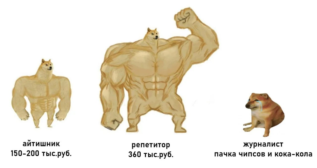 🤑 Репетиторы обогнали по зарплате айтишников, — shot