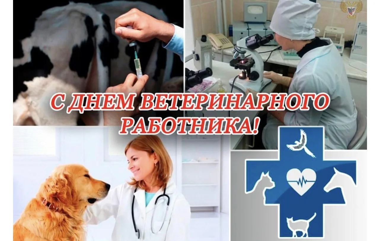📌📌📌Дорогие коллеги!Уважаемые ветераны ветеринарной службы!
