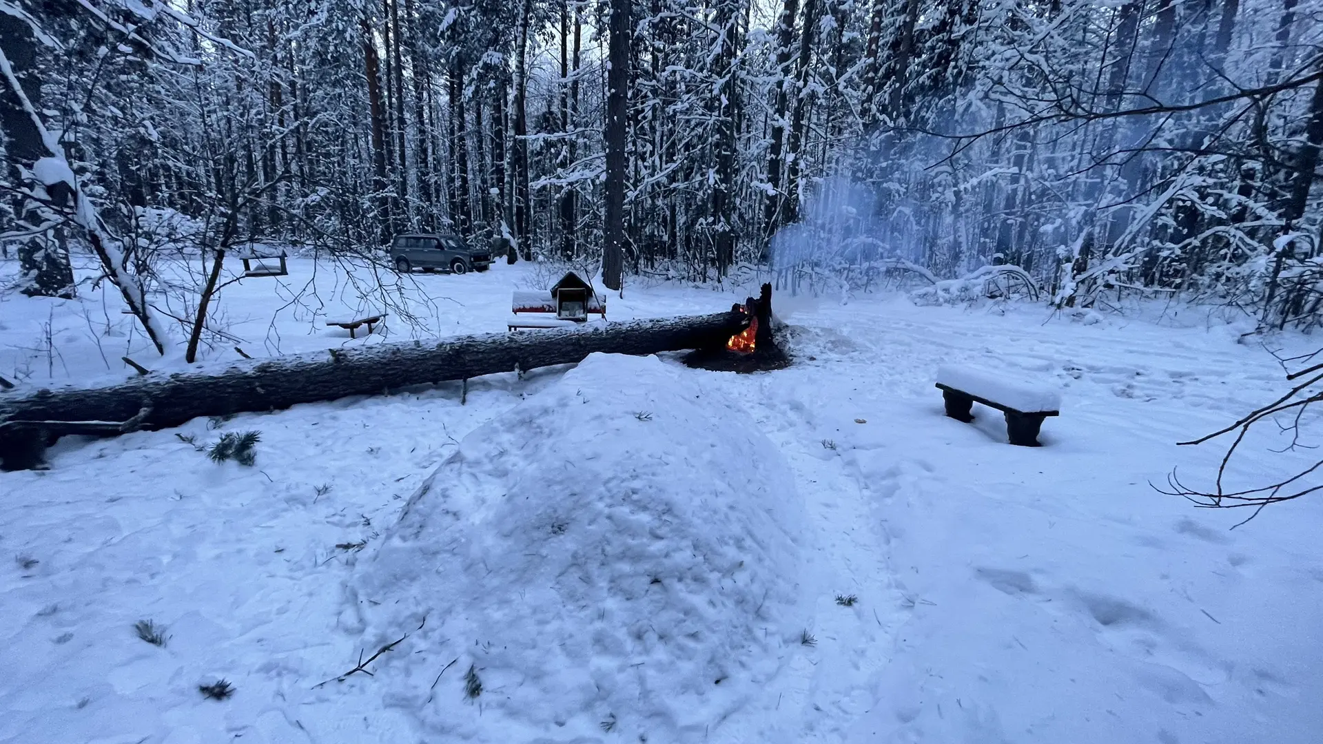 Видео