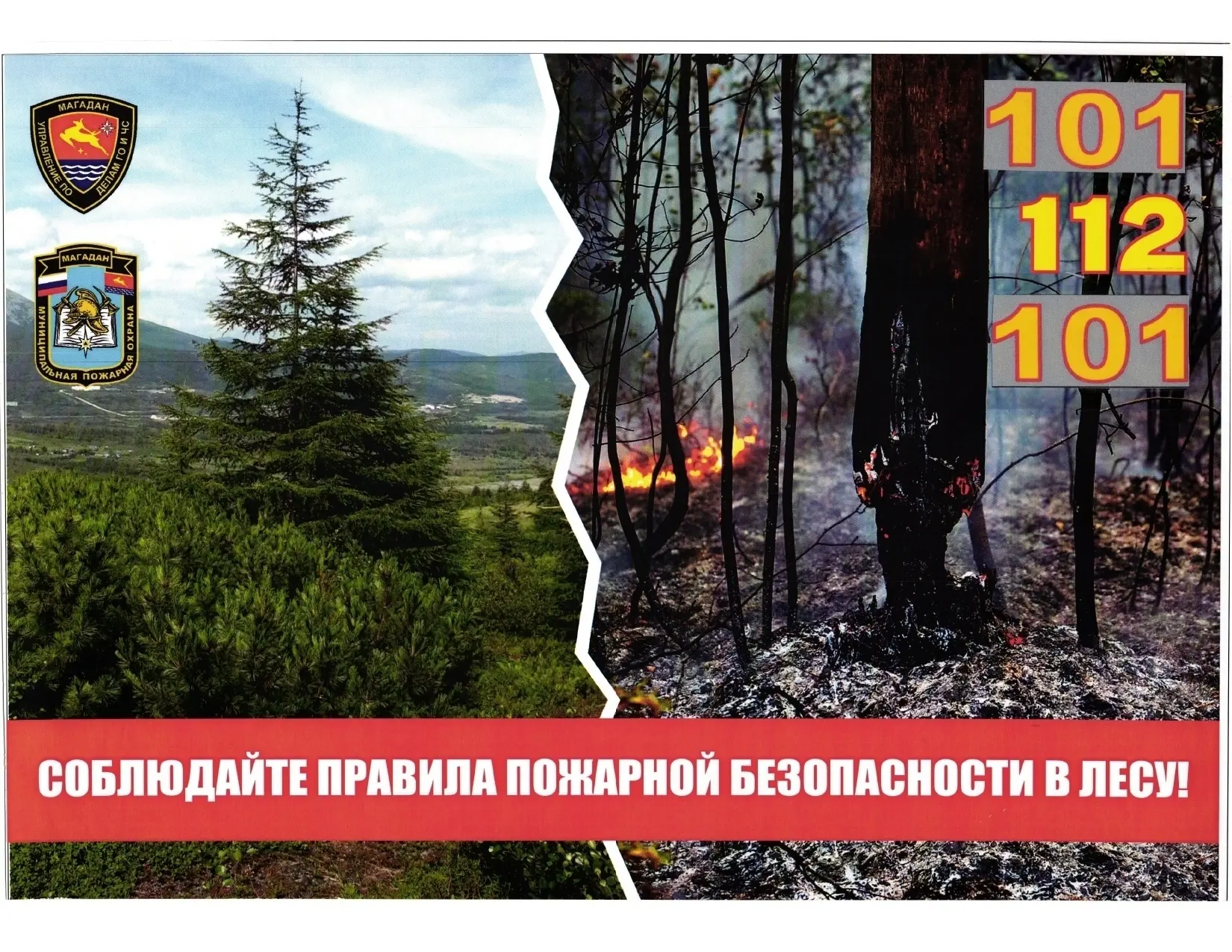 📢 Внимание! Соблюдайте правила пожарной безопасности в лесу🔥!