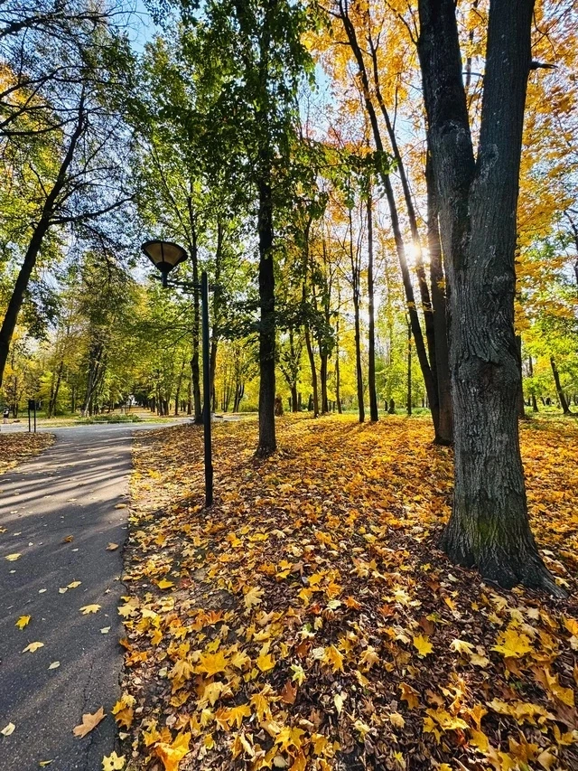 Доброе утро💛