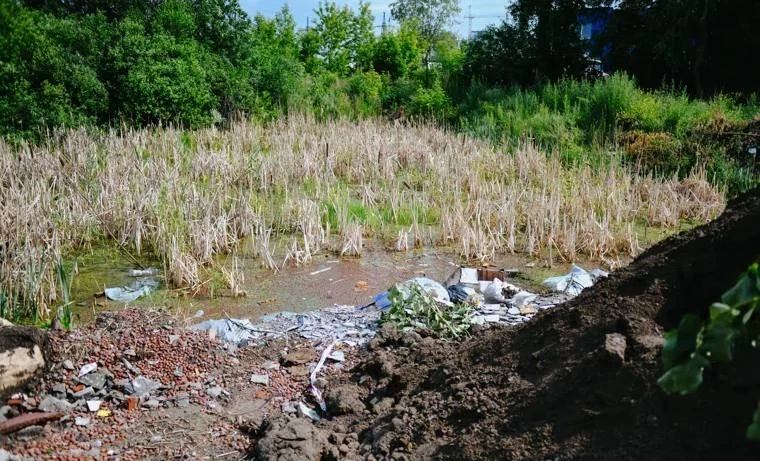 Тонны нечистот сливают у дороги в Курганской области