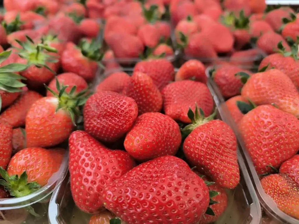 🍓 Готовы к ярмарке выходного дня? Мы — да!