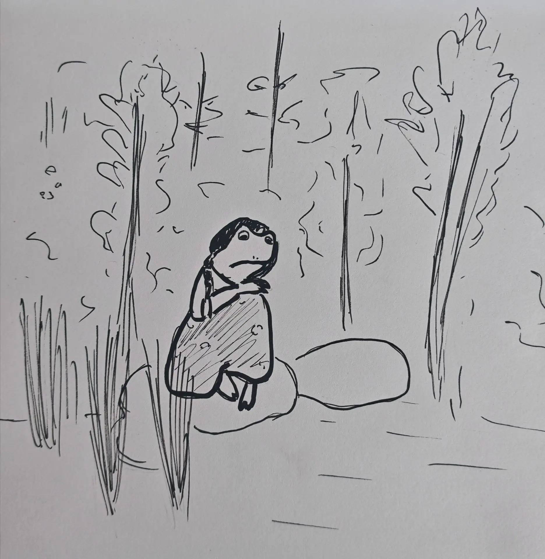🐸 Среда. Жабки и искусство.

Не стесняемся! Комментируем!

Итоги в воскресенье 💚